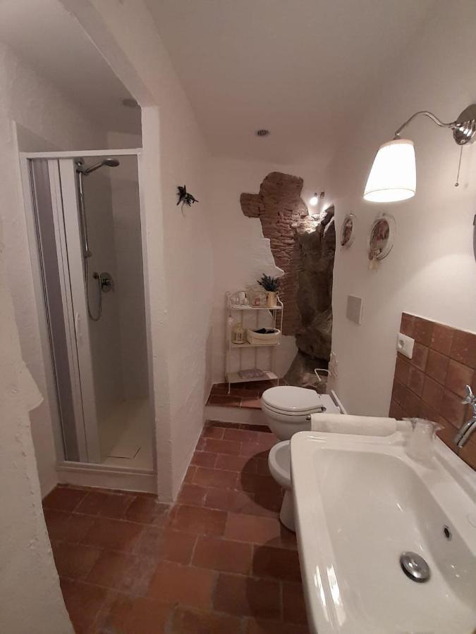 La Tana Del Riccio Apartment *