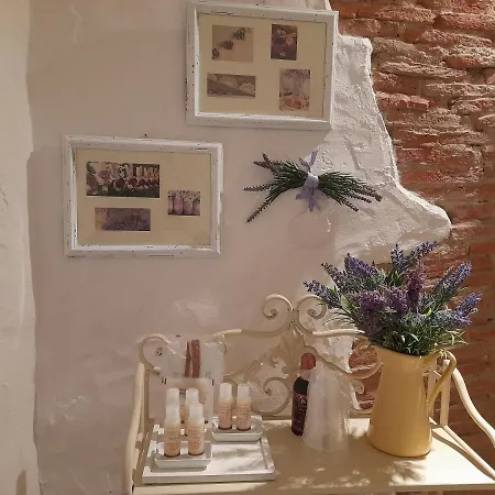 Appartement La Tana Del Riccio à Abbadia San Salvator Extérieur photo