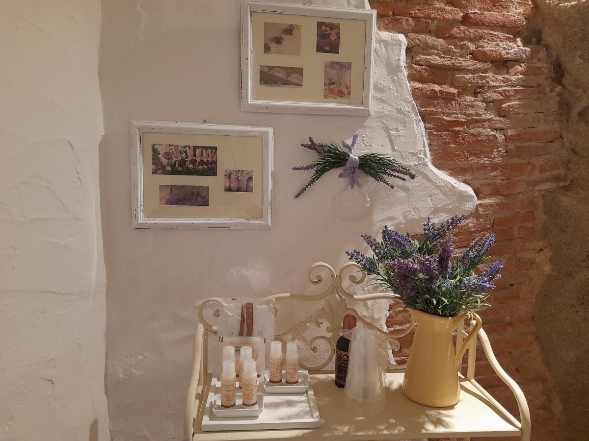 Apartment La Tana Del Riccio *