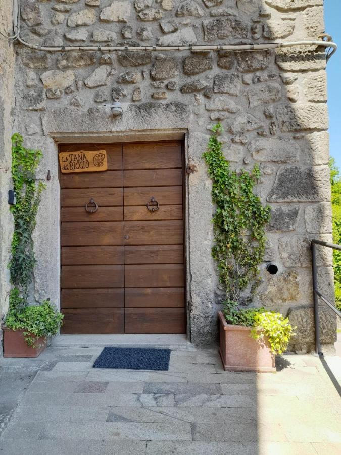 La Tana Del Riccio Apartment *