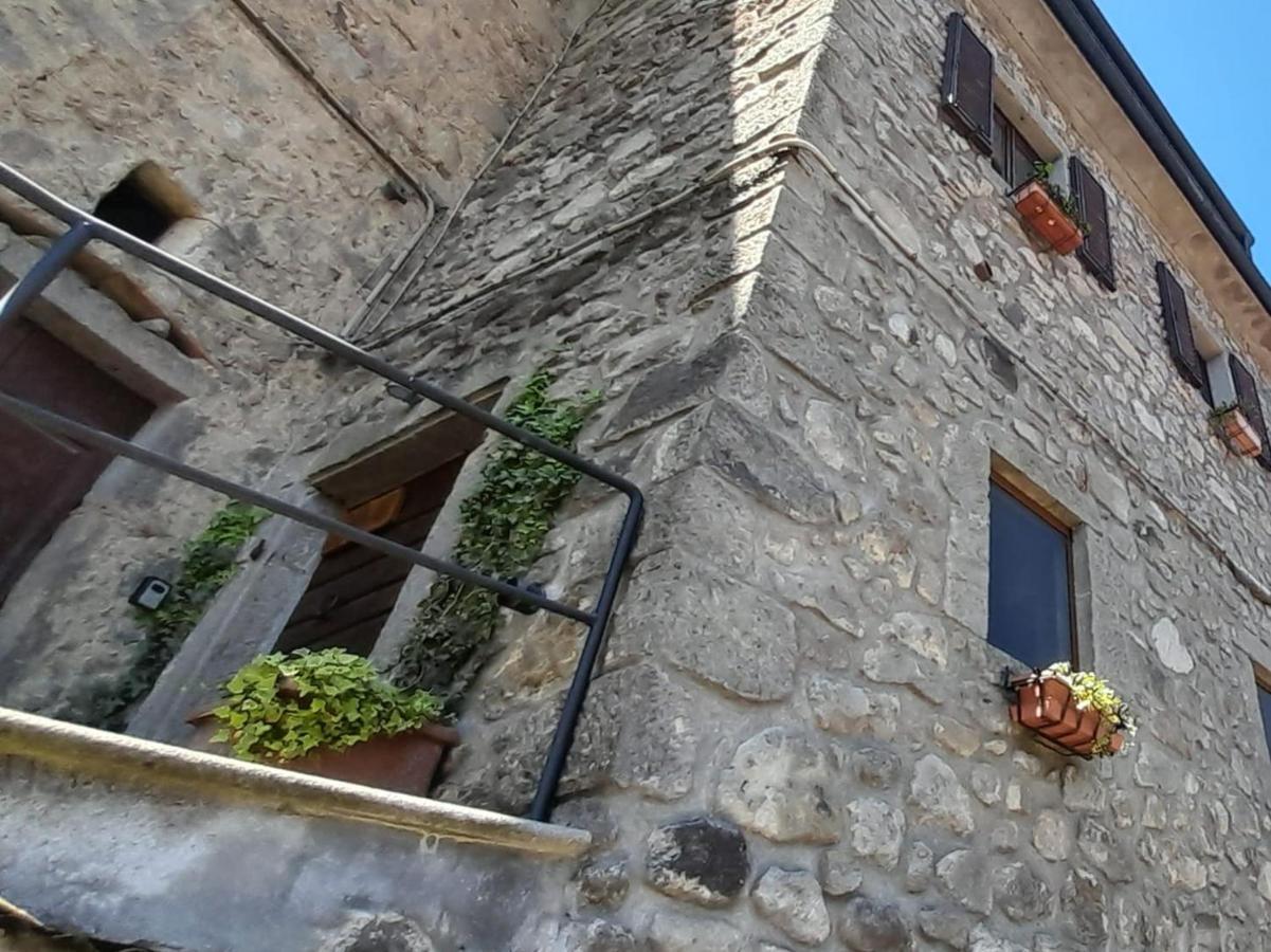 La Tana Del Riccio Apartment