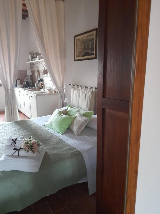 La Tana Del Riccio Apartment Abbadia San Salvator