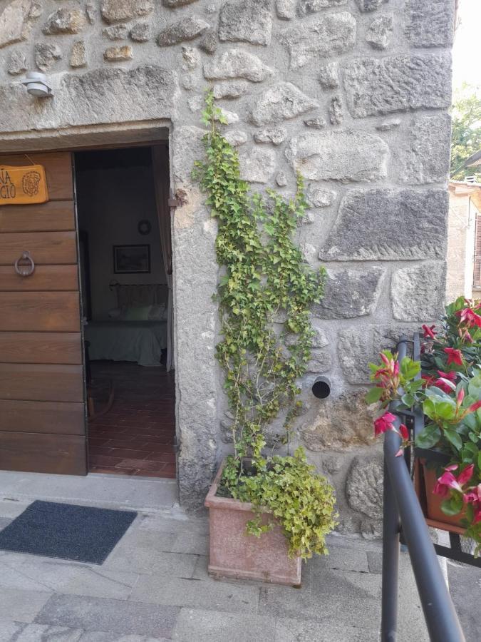 La Tana Del Riccio Apartment *